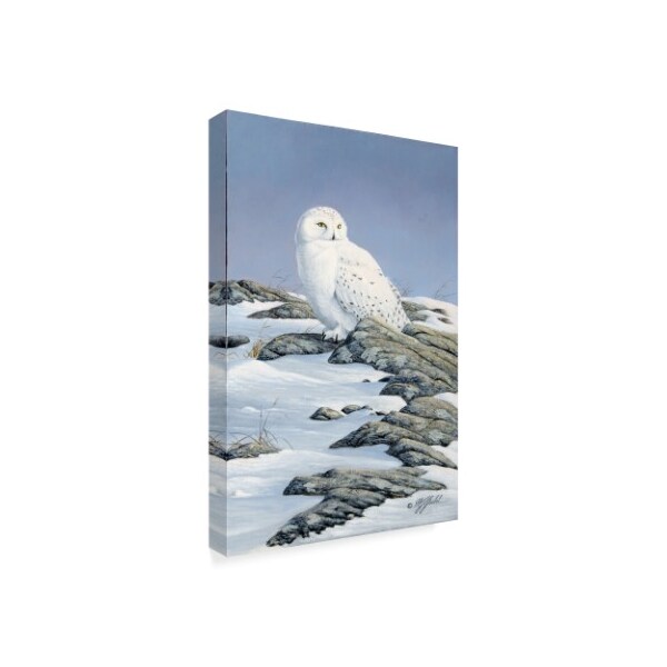 Wilhelm Goebel 'Snowy Owl' Canvas Art,30x47